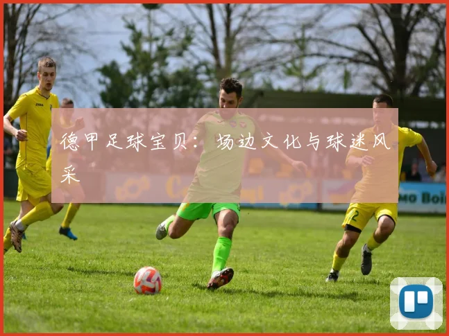 德甲足球宝贝:场边文化与球迷风采