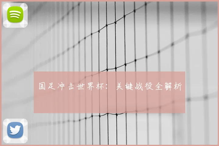 国足冲击世界杯:关键战役全解析