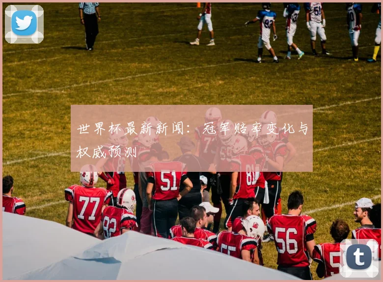 世界杯最新新闻：冠军赔率变化与权威预测